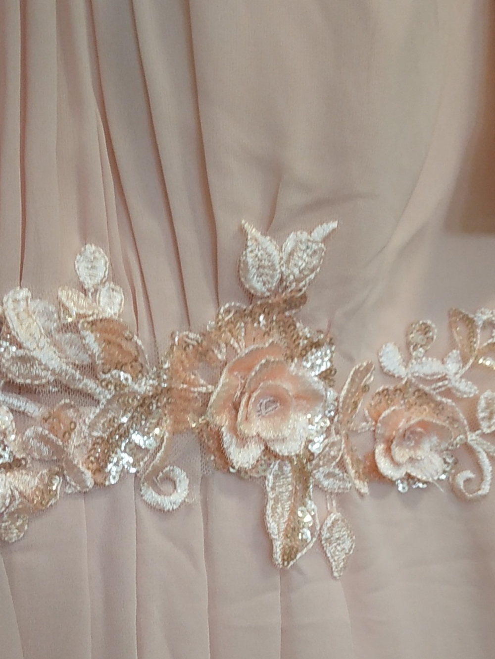 Ever Pretty Blush A-line Chiffon Short Sleeve Dress With Floral Applique - Picture 5 of 8
